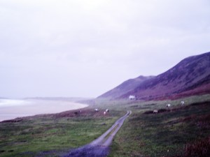 25-pockets-of-swansea-022 (2)