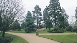 WP_20150215_14_00_31_Pro