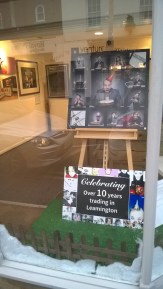 WP_20151219_13_46_35_Pro