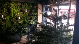 WP_20151222_11_07_59_Pro