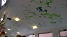 WP_20160220_15_18_07_Pro