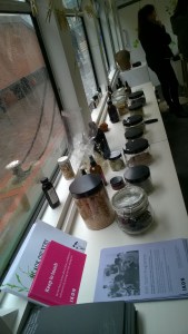 WP_20160220_15_18_31_Pro