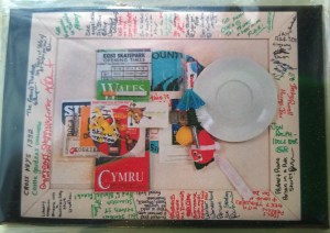 WP_20160223_15_24_48_Pro (2)