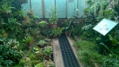 WP_20160312_15_27_58_Pro