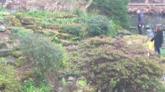 WP_20160312_15_38_08_Pro