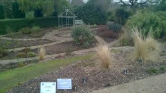 WP_20160312_15_47_40_Pro