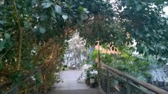 WP_20160402_18_53_13_Pro