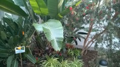 WP_20160402_18_53_41_Pro