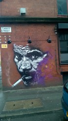 WP_20160625_20_07_55_Pro