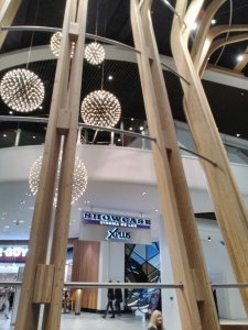 22237010_10100539337992007_173677888_n