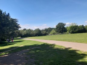 66096458_371520426887623_8742719493685379072_n