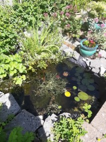 66226396_325549768389073_7035296438191915008_n