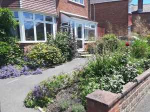 66296980_2332394363541761_6133676373471920128_n