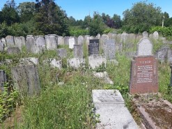 66431362_2379792338710473_5509314692729798656_n