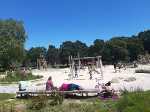 66717200_567926627073038_3598040334610726912_n