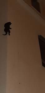 93102124_2566073596980433_6265956409796460544_n